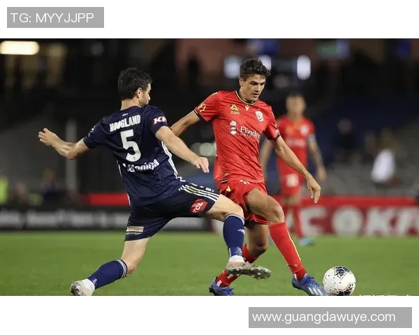 澳超精彩对决阿德莱德迎战西悉尼直播盛况全程呈现